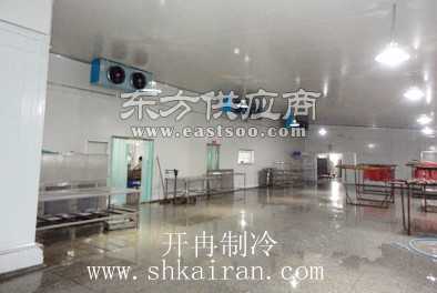 大型海鲜冷冻冷库工程造价预算与建筑安装工程解析